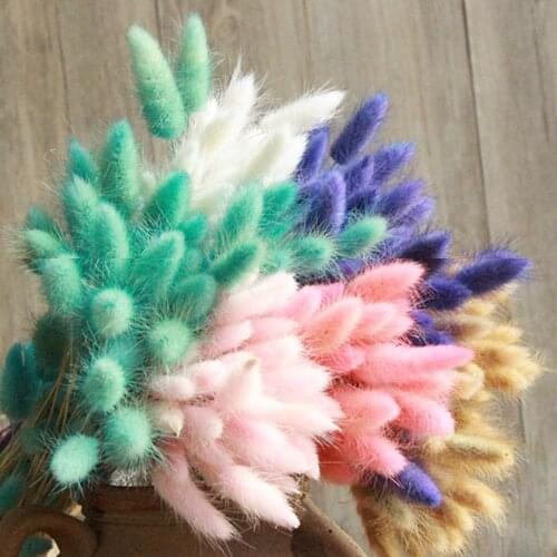 30/60 Natural Dried Flower Bouquet Bunnytail True Flowers in a variety of Colors for Home Decor, DIY Wedding Setting, Party Gath