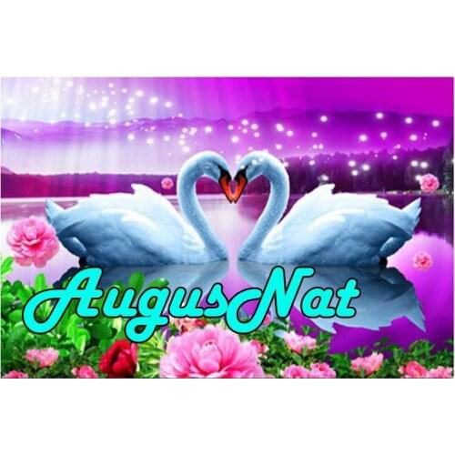 Swans diamond painting love daimont embroidery cross stitch pearl puzzle picture wedding decoration diamant mosaic sticker birds