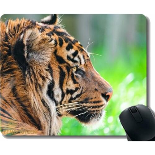 Gaming Mouse Pad Custom,Tiger Predator Big Cat Face 51238 Comfortable Mouse Mat For Gaming And Office