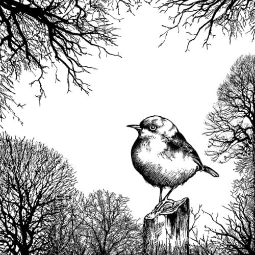 Birds Transparent Clear Silicone Stamp/Seal for DIY scrapbooking/photo album Decorative clear stamp M1275