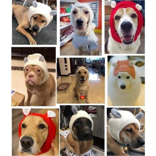 TEPWJUO Clothes And Footwear For Dogs