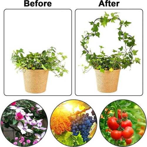 Stable Plant Support Ring Wide Application Metal Sturdy Weather Resistance Flower Stake for Home