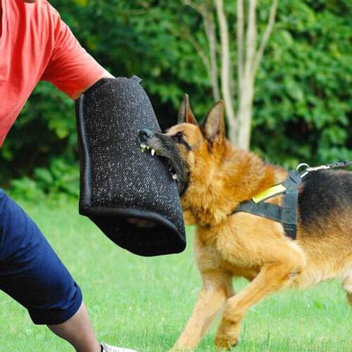 Dog Bite Arm Protection Sleeve Pet Training Biting Tool For Medium Large Police German Shepherd Pitbull Accessories Supplies