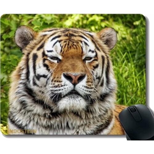 Colors Gaming Mouse Pad Custom Design Mat,Tiger Predator Muzzle Big Cat 114219 Mouse Pad With Stitched Edge