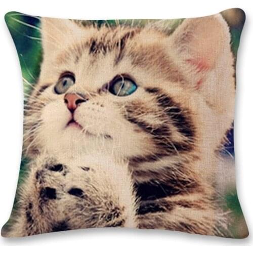 Home Decoration Pillow Fresh Animals Cats Pussy Printed Cushion Decorative Pillows Almofada Decorativas Para Sofa Throw Pillow