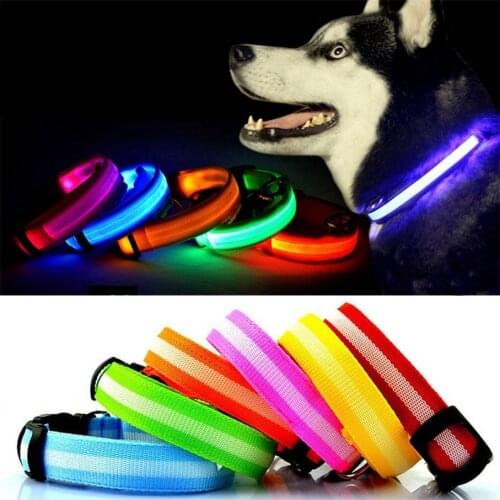 Battery or Rechargeable Pet Dog LED Glowing Collar Pet Luminous Flashing Necklace Outdoor Walking Dog Night Safety Pet Supplies