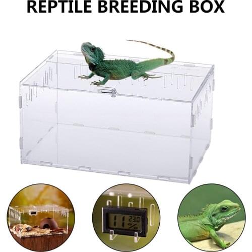 Acrylic Terrarium Spider Breeding Box Reptile Feeding Box for Climbing Pet Terrarium Snake Spider Lizard Scorpion Centipede