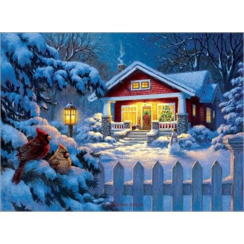 Counted Cross Stitch Kits Needlework Embrodery - Crafts 14 ct Aida Color DIY Arts Handmade Home Decor - Christmas Bungalow