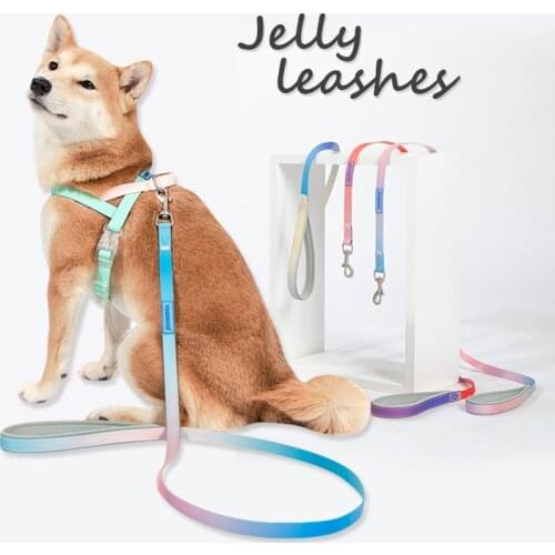 Первый питомец Touchdog China At AliExpress