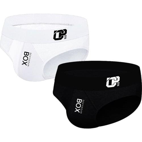 2 PCS/LOT Fashion Underpants Men Briefs Cotton Breathable Cueca Tanga Men Underwear U Convex For Men Quick Dry 2 Color