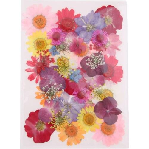 1 Pack Press Leaf Real Pressed Dried Flower For DIY Scrapbooking Art Craft