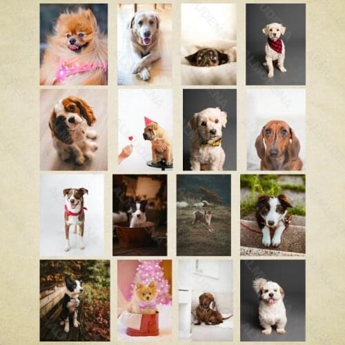 Diamond Painting Animals Chow modern Full Diamond Handmade Dot Inlaid Diamond Bedroom Living Room Sticker Wall