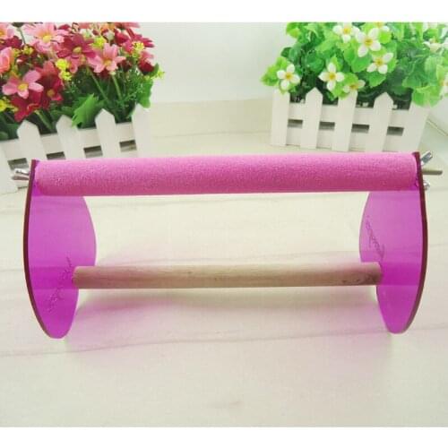 Acrylic Stand Tripod Squirrel Scrub Stand Training Toys Desk Practical Toys Pet Products Bird Supplies