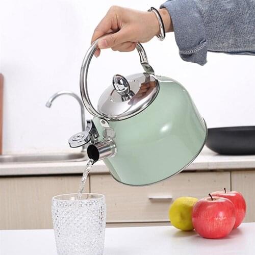Stainless Steel Whistle Teakettle Household Tea Kettle Kitchen Drinkware Water Bottle (Assorted Color)