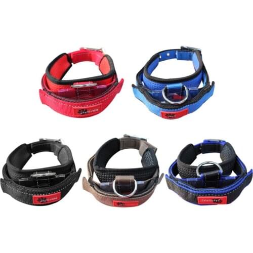 Pet Elastic Retractable Dog Puppy Collar with Integrated Leash Grab Handle