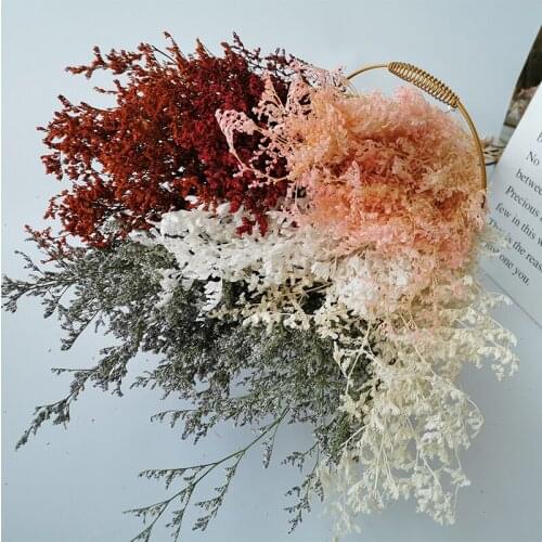 80g/30-40CM,Natural Fresh Preserved Lover Grass Bunch, Eternal Display Real Flower Grass for Wedding Party Home Table Decoration