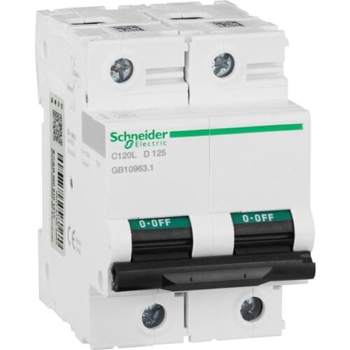 C120L Thermal Magnetic Distribution Protection Small Circuit Breaker 2P AC D Curve 125A 400V 50 / 60hz A9N19861 Mini