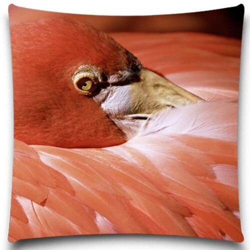 The Flamingo put her head into thick feathers 2D print creative Pillow case Square cotton polyester cushion cover 5 size 9 style