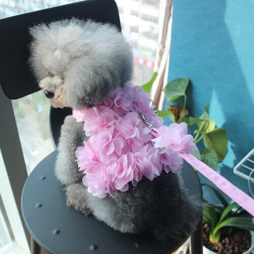 2016 newest style pet leash for dog 19 flowers dog harness leash set small dog leash lead ZL87
