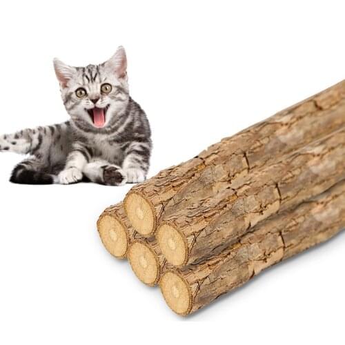 Pure Natural Catnip Pet Cat Toy Suit Safety Molar Toothpaste Branch Cleaning Teeth Silvervine Cat Snacks Sticks Pet Supplies