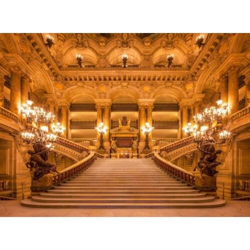 Fotografia prince gold castle photo backgrounds vinyl wedding photography backdrops for photo studio props Photophone S-2745