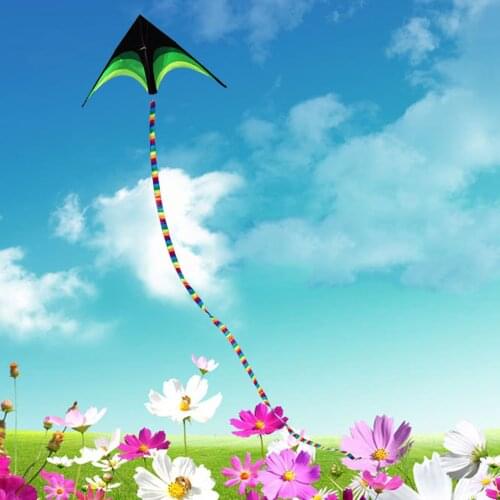 10m/15m Tail Triangle/Delta Kite Outdoor Fun Sports Toy For Children