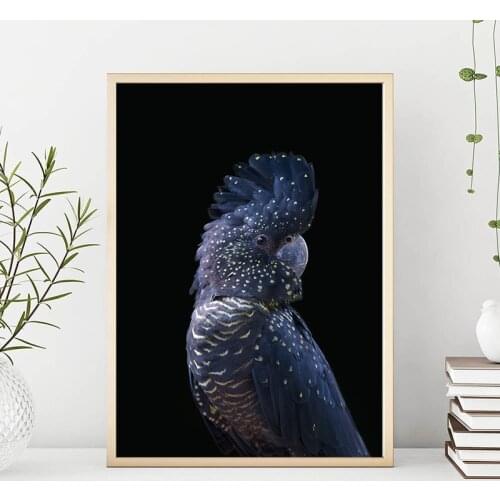 Wall Art Painting Black And White Canvas Poster Animal Cockatoo Bird Print Nordic Decoration Picture Modern Living Room Decor