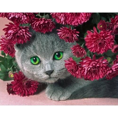 Diy Full Square Diamond Painting Cross Stitch Diamond Mosaic Diamond Embroidery Bedroom flowers cat Point Round Diamond Painting