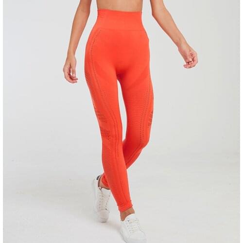 Zhangyunuo Gym Seamless Leggings Sport Women Fitness Hollow Yoga Pants High Waist Elastic Workout Wear Athletic Sexy Legging