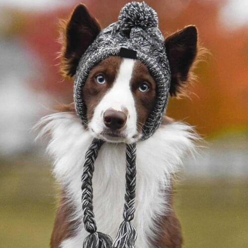 Autumn Winter Fashion Dog Hat Warm Windproof Knitted Puppy Cap Pet Accessory Dog Supplies Caps