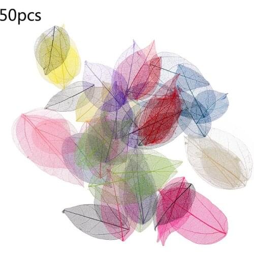 50 Pcs Mixed Color Natural Skeleton Leaves Pressed Flower for Jewelry Making