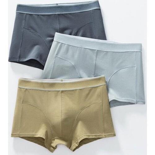 Male Panties High Quality Cotton Mens Underwear Boxers Mens Boxing Shorts Intimate Breathable U-shaped Bag Male Underpants Hot