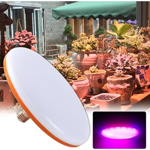 Gangzhuwan LED Bulbs