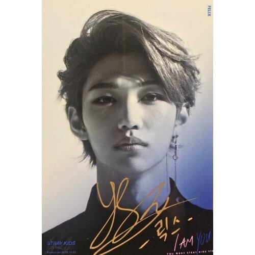 Hand signed Stray Kids Felix autographed photo I AM YOU K-POP 5*7 collection 102018BB