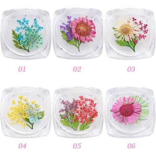 Random 4 BOX Beauty Dried Flowers Leaf UV Resin Epoxy DIY Natural Floral Sticker 3D Dry Nail Art Decals Jewelry UV Gel