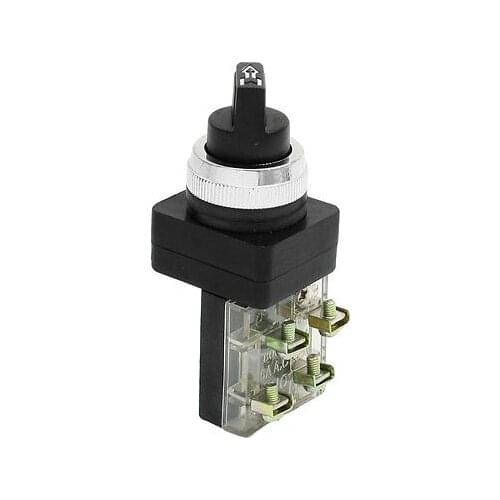 AC 250V 6A DPST Panel Mount 2 Position Rotary Locking Push Button Switch
