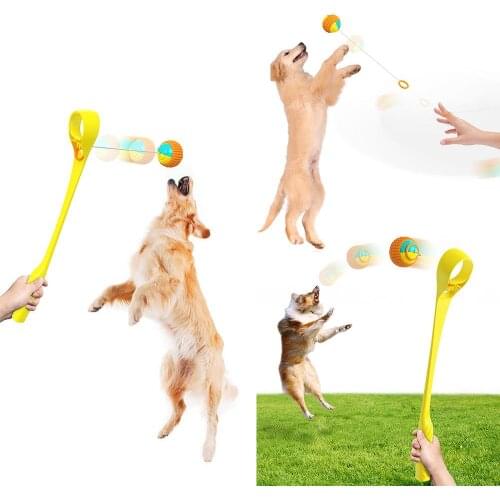 Dog Throwing Stick, Outdoor Interactive Pet Walking Toy, Environmentally Friendly And Healthy, Pp Material Is Safety And Durable