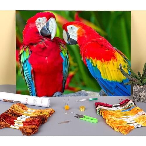 Cartoon Girl Woman Printed Canvas 11ct Diy Kit Dmc Knitting Handmade Package Printed Canvas 11CT Jewelry