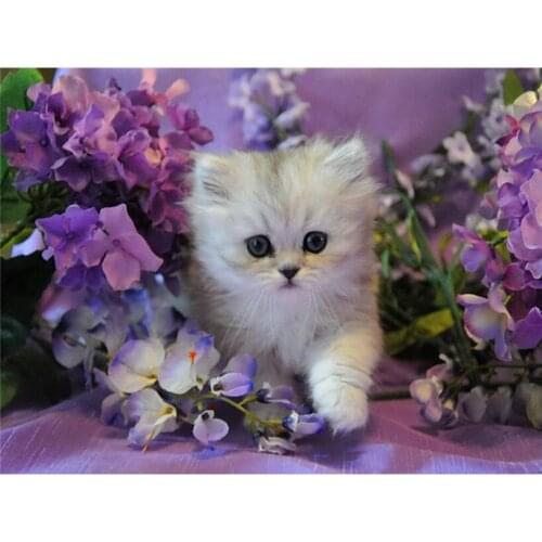 New diamond painting cat pattern DIY 3D full diamond rhinestone mosaic round diamond embroidery animal cross stitch needle FR008