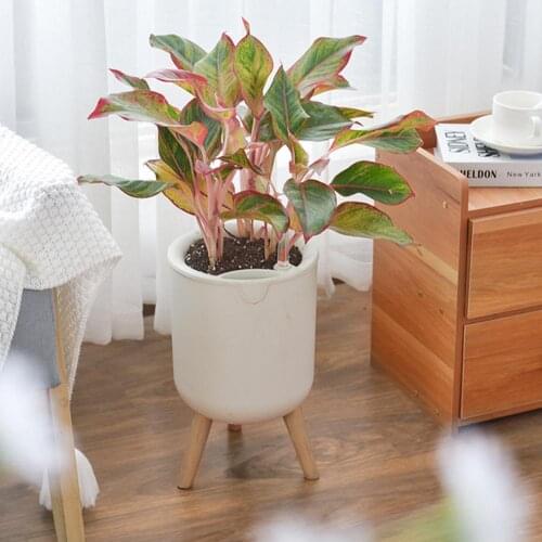 Automatic Self-Watering Planters Flower Pot With Water Level For Home Decor Indoor Outdoor Garden Flower Pot With Wooden Bracket