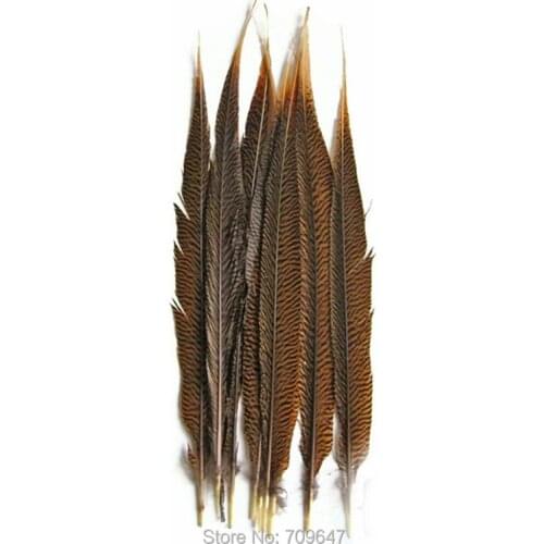 Wholesale Tail Feathers , 50 Pieces -14-16" 35-40cm Natural Golden Pheasant Tail Sides Wholesale Feathers,Pheasant Feathers