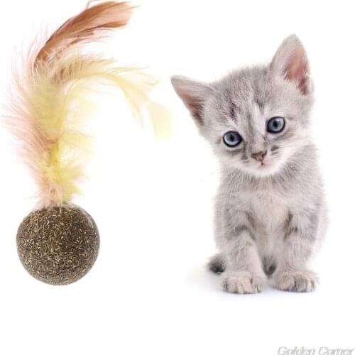 Nature Kitten Feature Toy Teeth Cleaning Catnip Ball Pet Accessories F17 21 Dropshipping