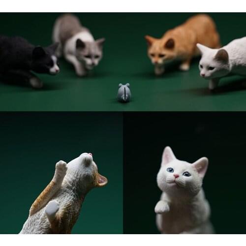 JXK062 1/6 Felis Catus 2.0 Model Cute Cat Animal Statue Scene Accessories Props Fit 12'' Action Figure Body Doll