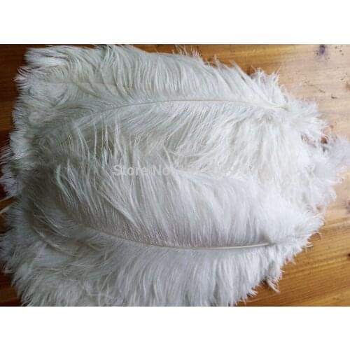 Wholesale Quality 50pcs perfect Leniency Male white natural ostrich feather 12-14inch/30-35cm decorative diy