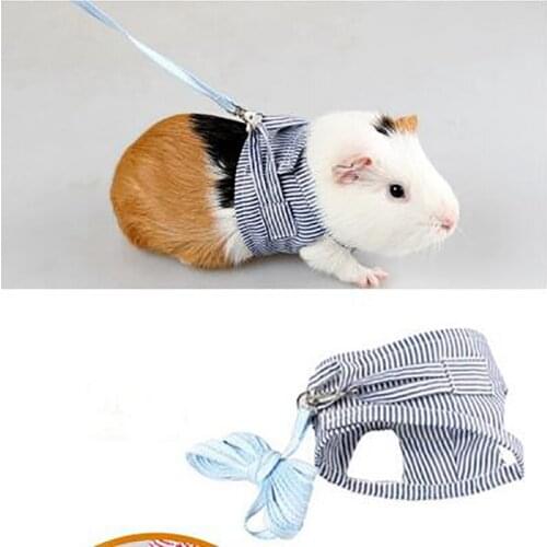 Small Pet Two-Legged Chest Strap Chinchilla Dutch Guinea Pig Breathable Cotton Corset Outdoor Traction Rope Leash Clothes