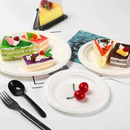 Disposable Cake Plate Birthday Cake Containers Barbecue Roast Plate Restaurant Disposable Tray Convenient No-Wash Food Container