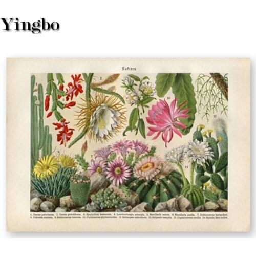 Cactus flower desert plant succulent Needlework 5d Diamond Painting kits Diamond Embroidery Mosaic Rhinestone Cross stitch