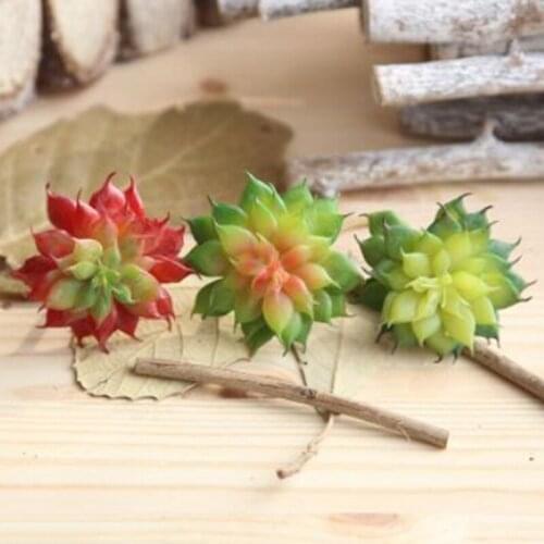 Fake Succulents Plants Grass Desert Landscape Artificial Plants Flower Green Garden Office Decor Living Room Desktop Decoration