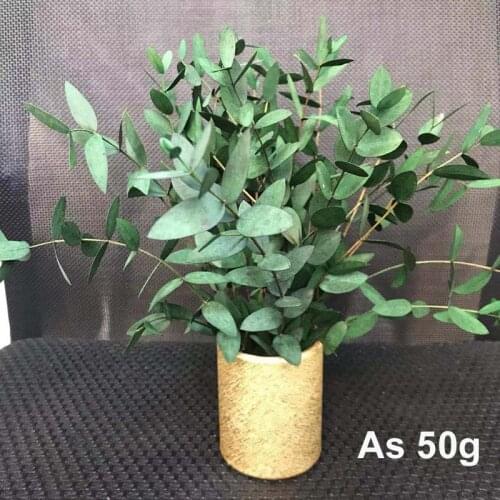 10~35CM/50g Real Nature Preserved Fine Leaf Eucalyptus Bundle,DIY Eternell Leaves Flower Eucalyptus Garland,Home Decor,Wedding