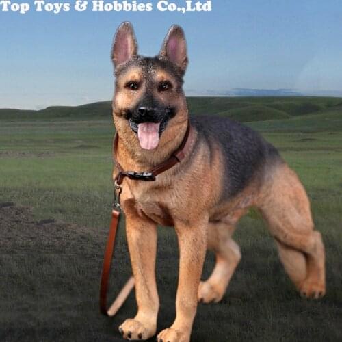 DID AS003 1/6 Working Dog German Shepherd 1/6 German Dog familiaris for 12 inches Action Figure Accessories